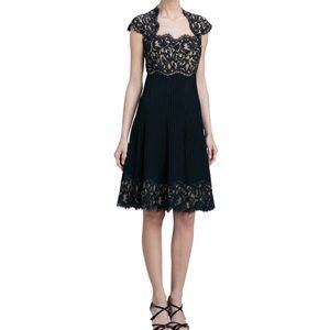 Tadashi Shoji Illusion Lace Pleated Dress Size 6 NWT